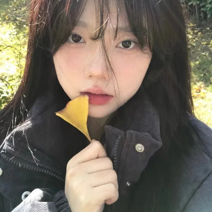2024元宵奇妙游封面