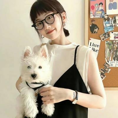 懵懵哒爱情封面